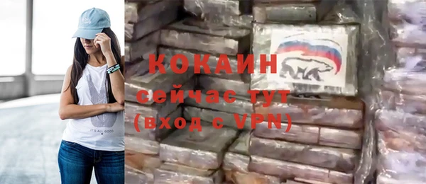 хмурый Дмитров