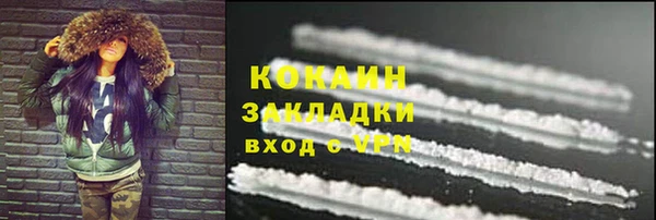 хмурый Дмитров