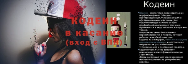 хмурый Дмитров