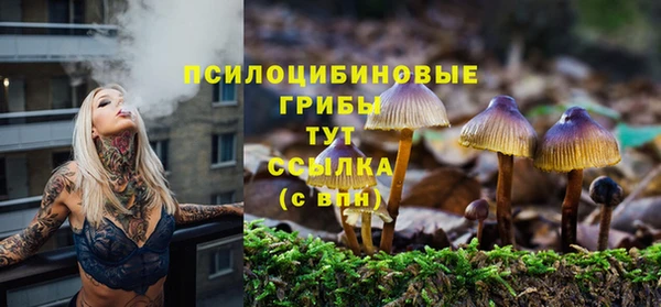 хмурый Дмитров