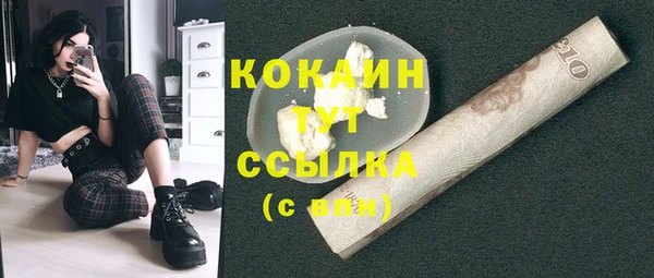 хмурый Дмитров